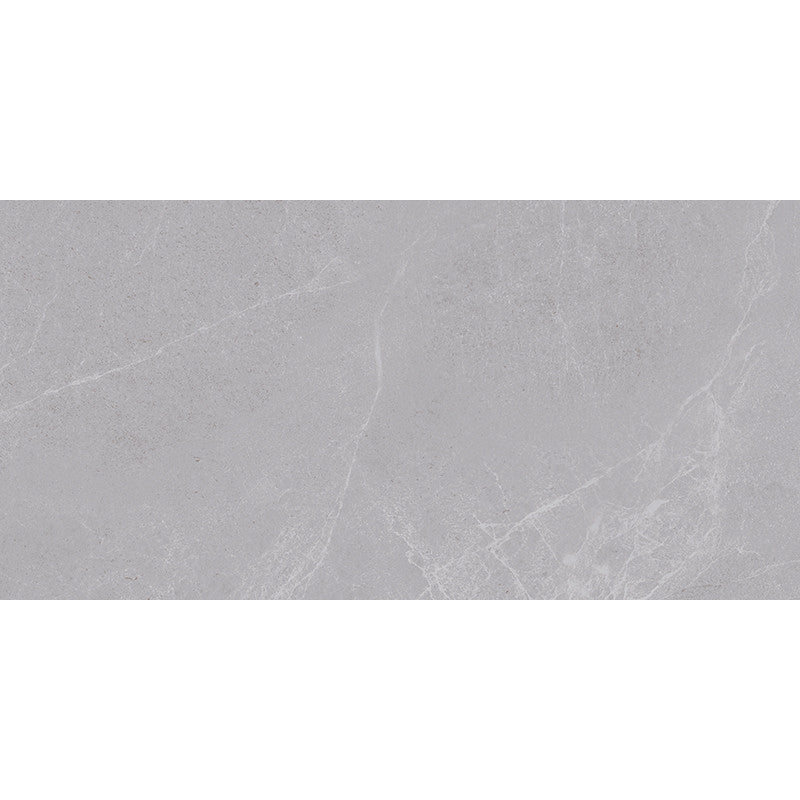 Seinälaatta Luca Light Grey matta 20x40x0,7cm
