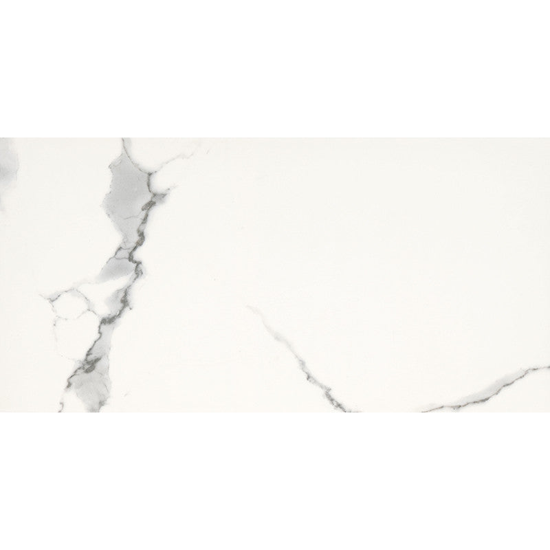 Seinälaatta Carrara Maxi Rect 30x60x0,7cm