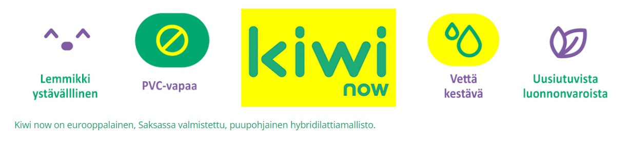 Hybridilattia 40KN782 Kiwi now